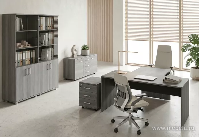 кабинет Аргентум