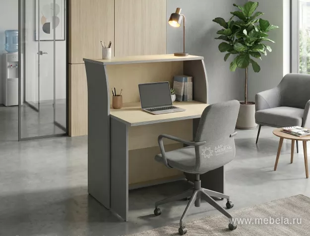 ресепшн Рива Клён М