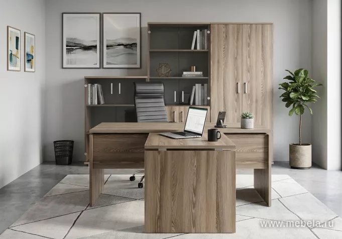 кабинет Аргентум