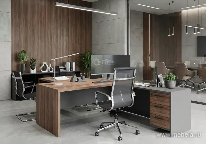 кабинет Кортез