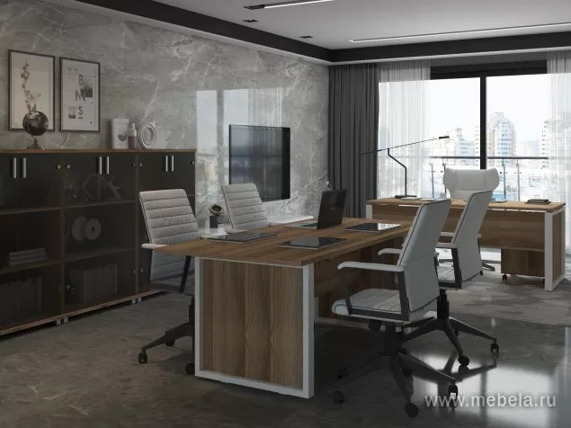 кабинет Аргентум-М