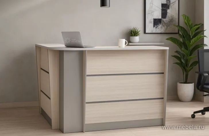 ресепшн Рапид Карелия