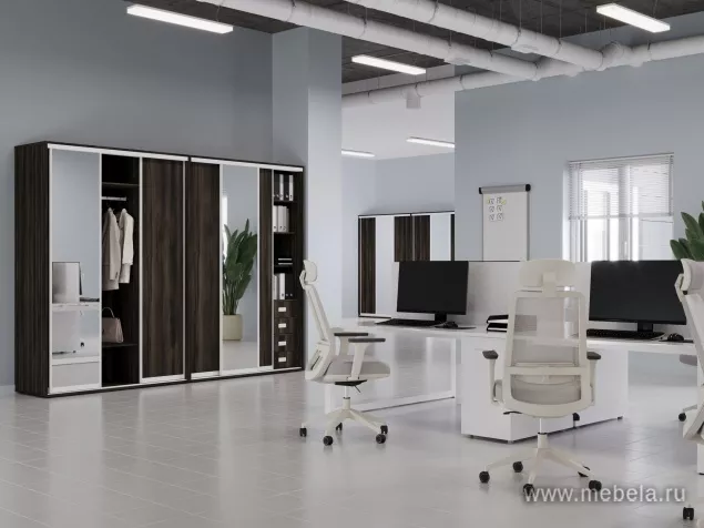 Шкафы-Купе Марис Мали