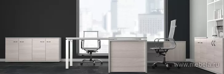 кабинет Стил Эво