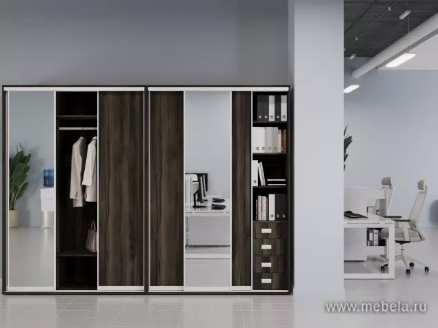 Шкафы-Купе Марис Мали