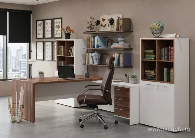 кабинет Кортез