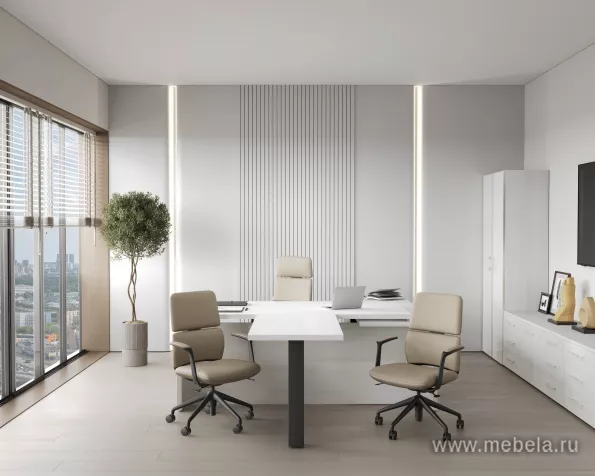 кабинет Ялта Cнежная