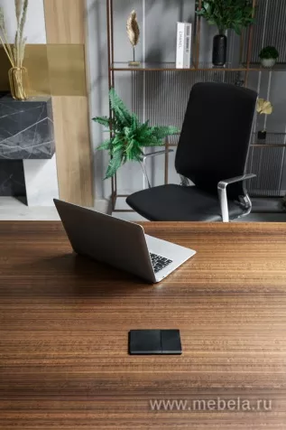 кабинет Ренз