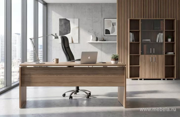 кабинет Аргентум