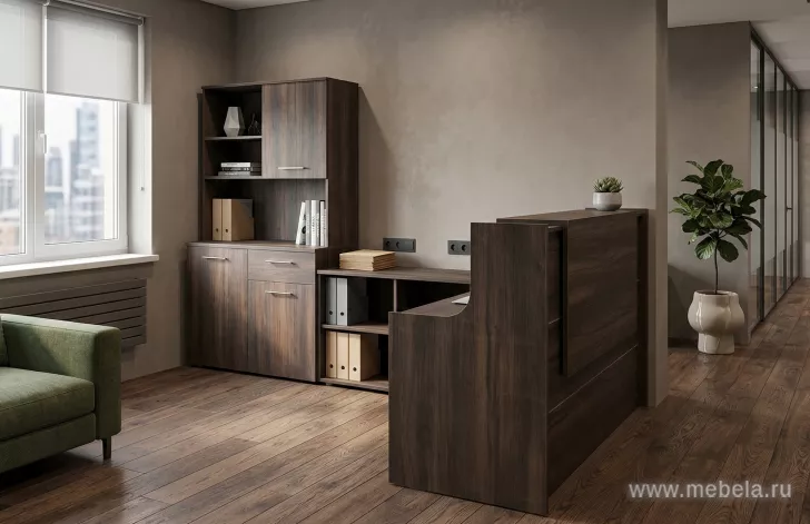 ресепшн Оникс Мали