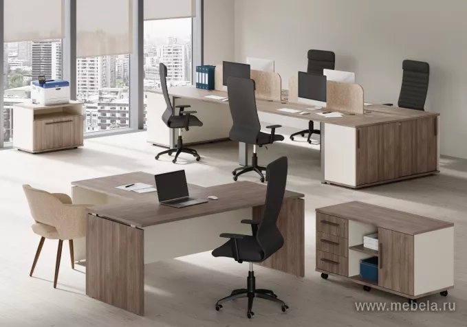 мебель Нью лайн