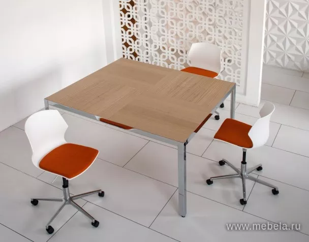 кабинет Энцо