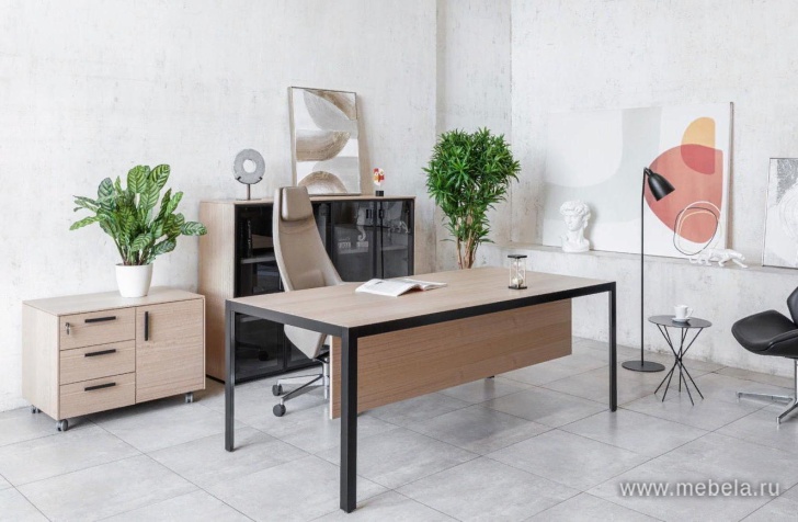 кабинет Энцо Блэк