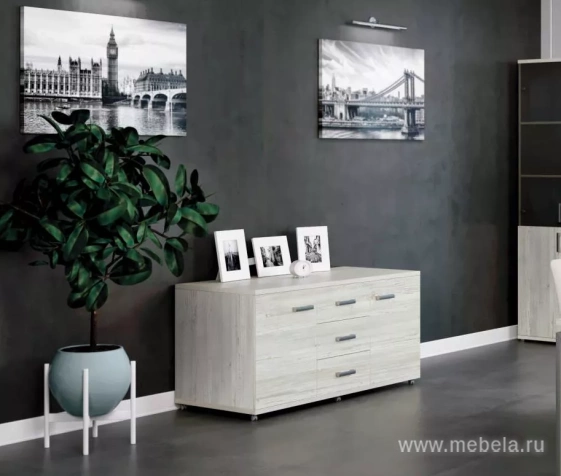 кабинет Аргентум Сосна