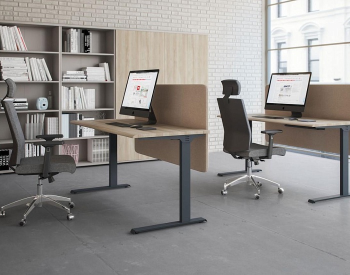 фото мебель Alta ML					 №3					