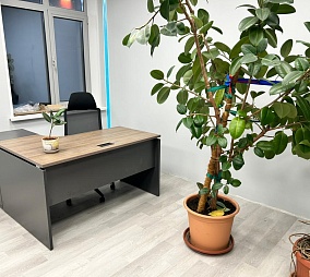 НПО Стальпром